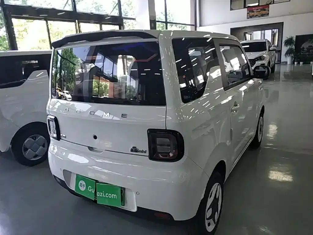 Panda 2025 Panda Mini 210km - Energetic Bear — миниатюра 7