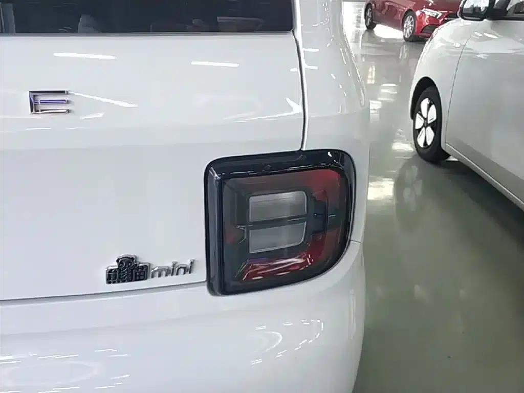 Panda 2025 Panda Mini 210km - Energetic Bear — миниатюра 8