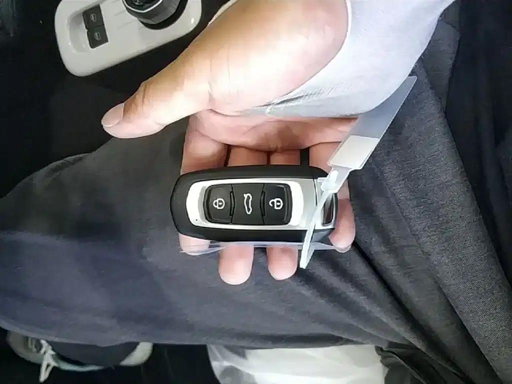 Panda 2025 Panda Mini 210km - Energetic Bear — миниатюра 9