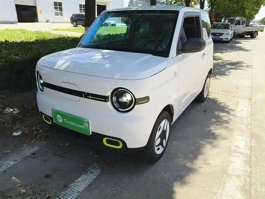 Panda 2025 Panda Mini 210km - Energetic Bear — миниатюра 2