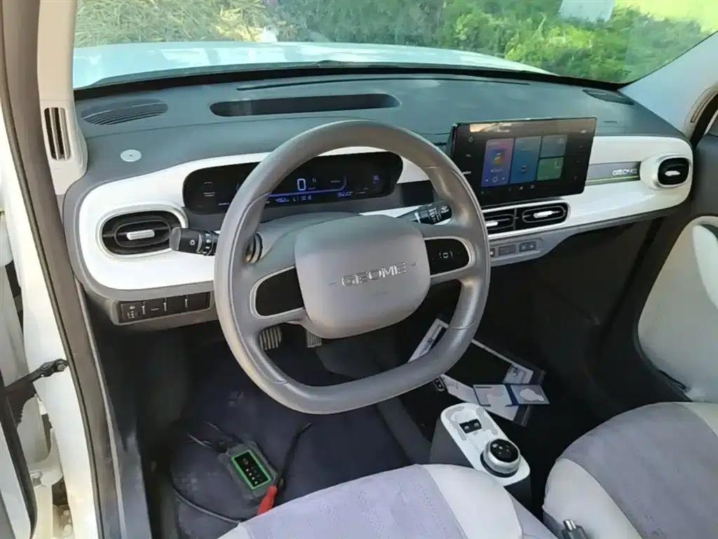 Panda 2025 Panda Mini 210km - Energetic Bear — миниатюра 11