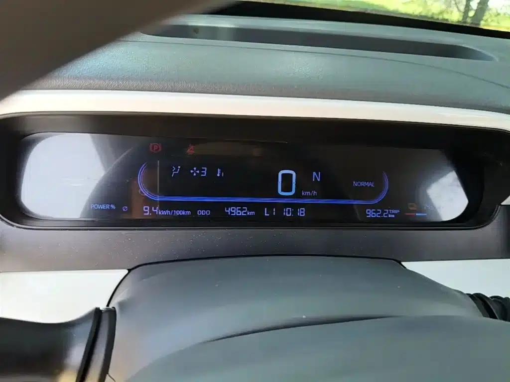 Panda 2025 Panda Mini 210km - Energetic Bear — миниатюра 12