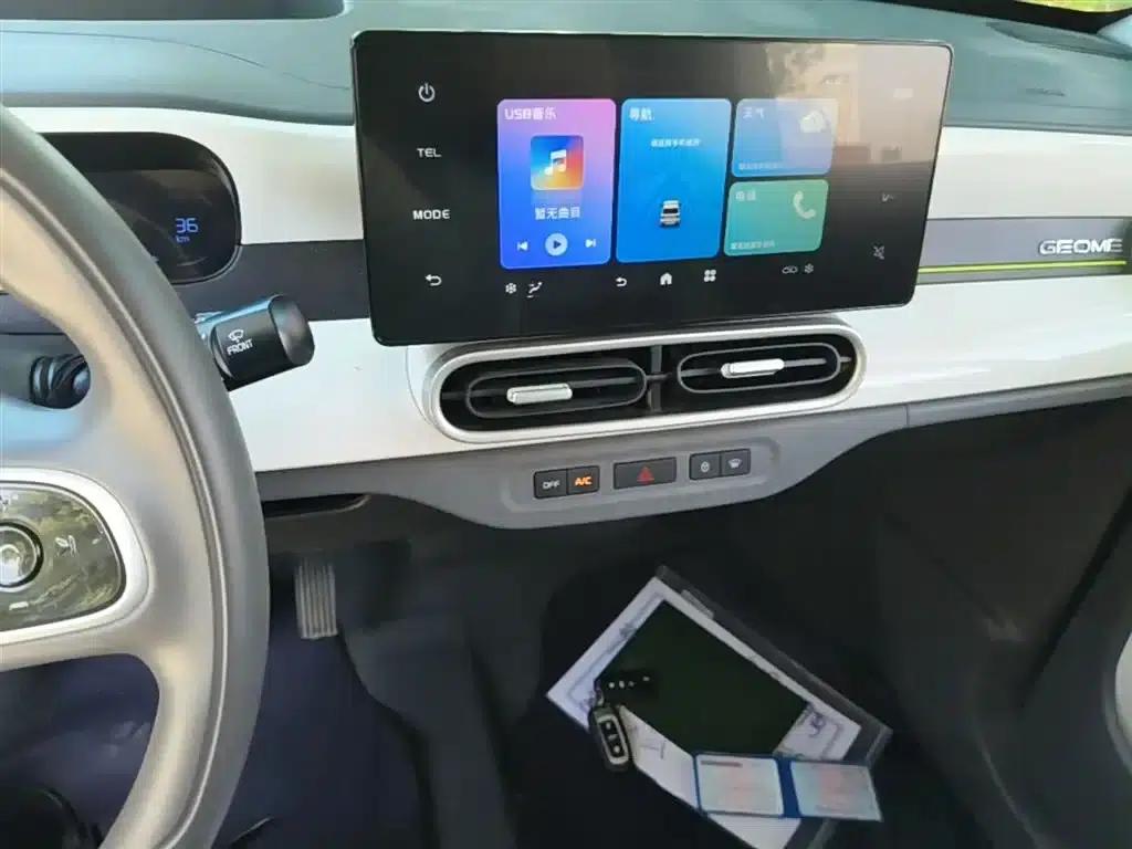 Panda 2025 Panda Mini 210km - Energetic Bear — миниатюра 13