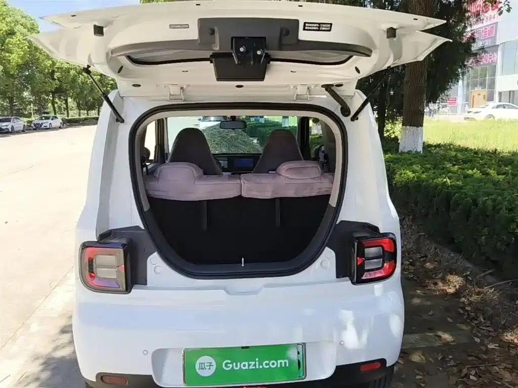 Panda 2025 Panda Mini 210km - Energetic Bear — миниатюра 19