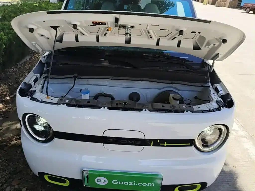 Panda 2025 Panda Mini 210km - Energetic Bear — миниатюра 20