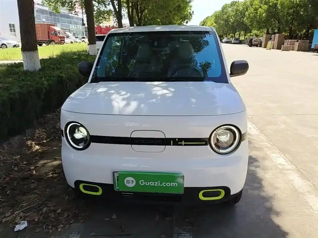 Panda 2025 Panda Mini 210km - Energetic Bear — миниатюра 3