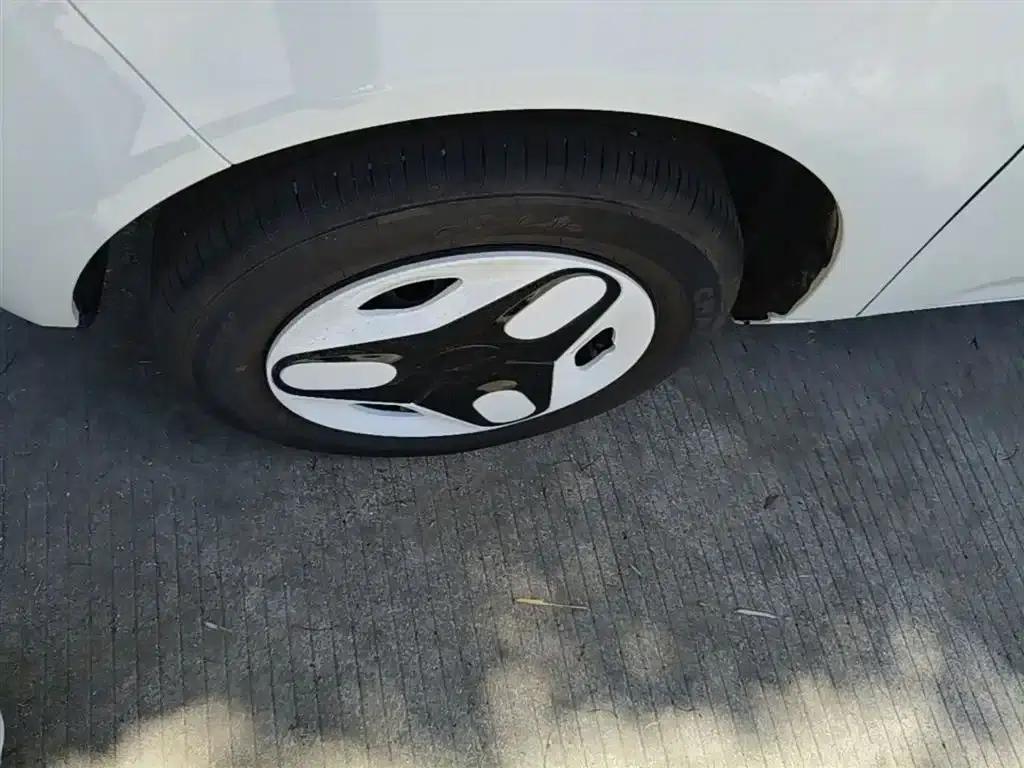 Panda 2025 Panda Mini 210km - Energetic Bear — миниатюра 23