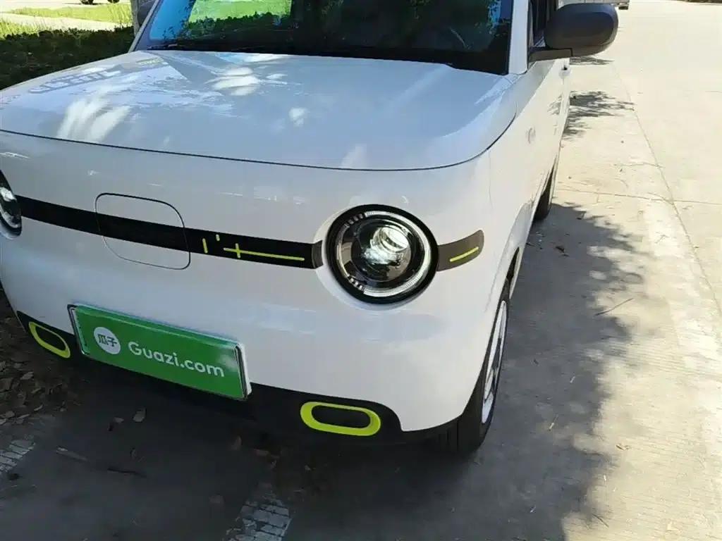 Panda 2025 Panda Mini 210km - Energetic Bear — миниатюра 24