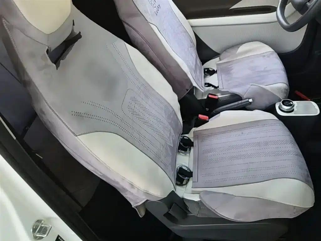Panda 2025 Panda Mini 210km - Energetic Bear — миниатюра 25