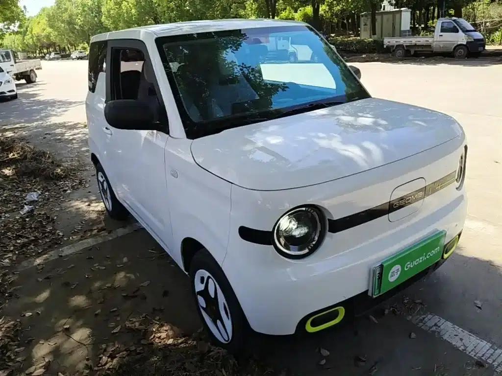 Panda 2025 Panda Mini 210km - Energetic Bear — миниатюра 4