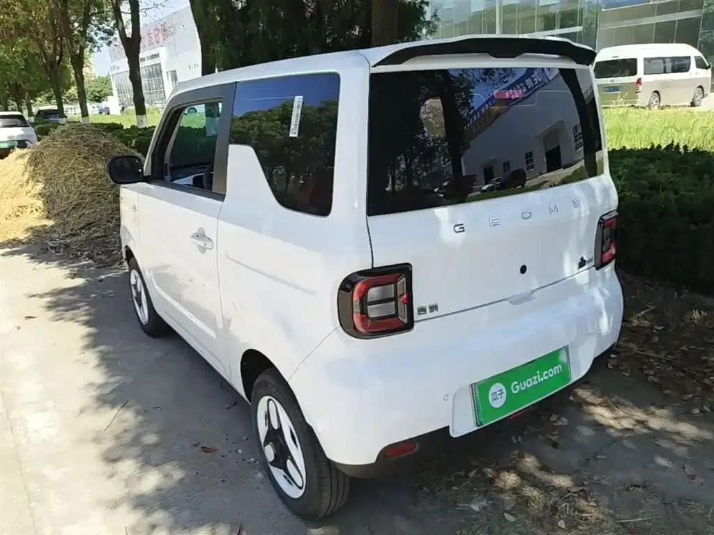 Panda 2025 Panda Mini 210km - Energetic Bear — миниатюра 5