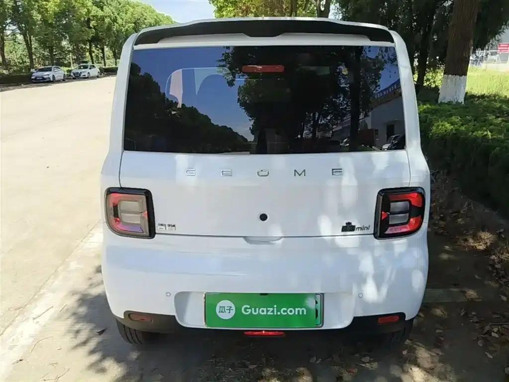 Panda 2025 Panda Mini 210km - Energetic Bear — миниатюра 6