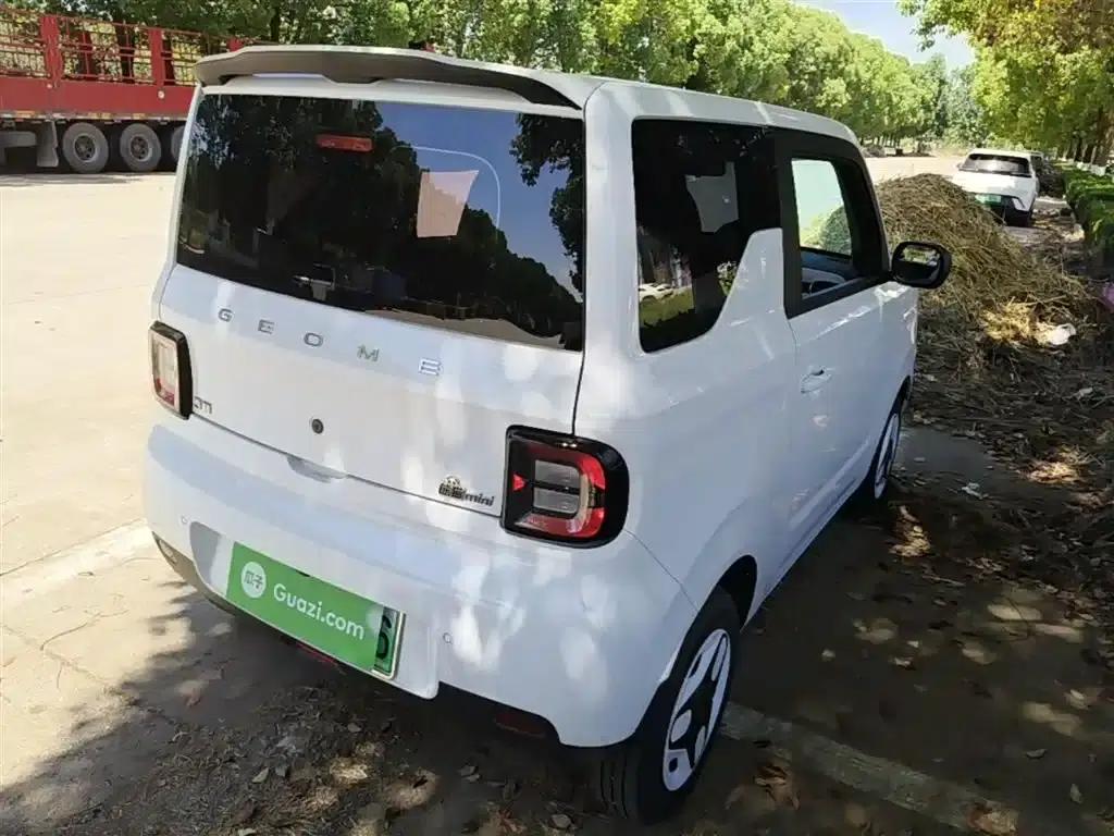 Panda 2025 Panda Mini 210km - Energetic Bear — миниатюра 7