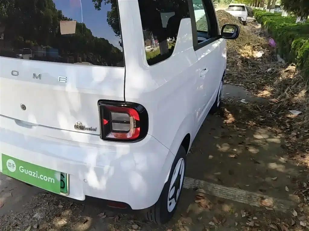 Panda 2025 Panda Mini 210km - Energetic Bear — миниатюра 8