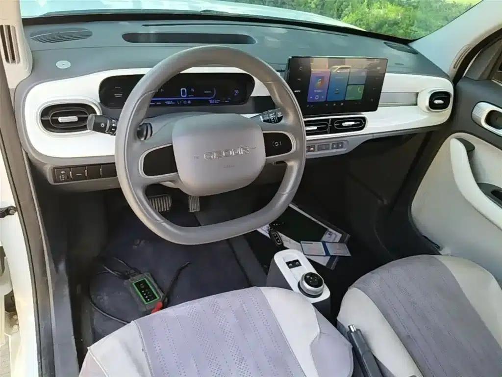 Panda 2025 Panda Mini 210km - Energetic Bear — миниатюра 10