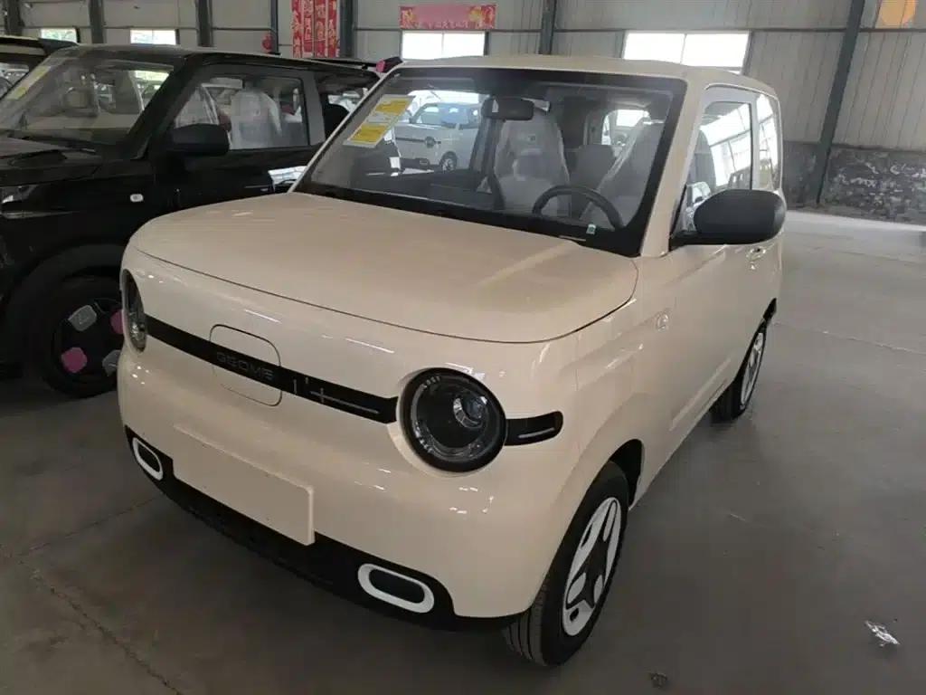 Panda 2025 Panda Mini 210km - Energetic Bear — миниатюра 1