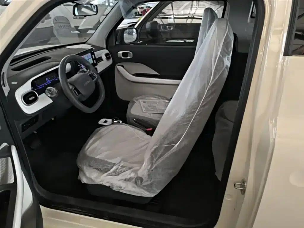 Panda 2025 Panda Mini 210km - Energetic Bear — миниатюра 15