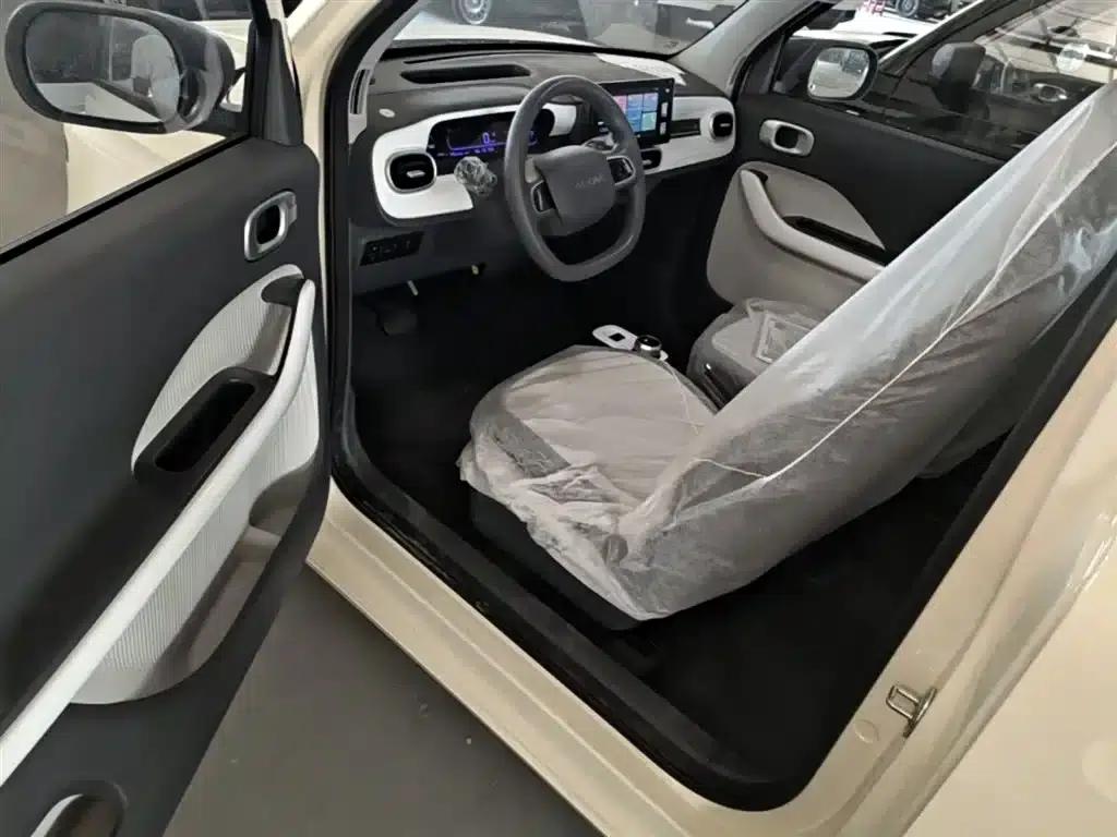 Panda 2025 Panda Mini 210km - Energetic Bear — миниатюра 16