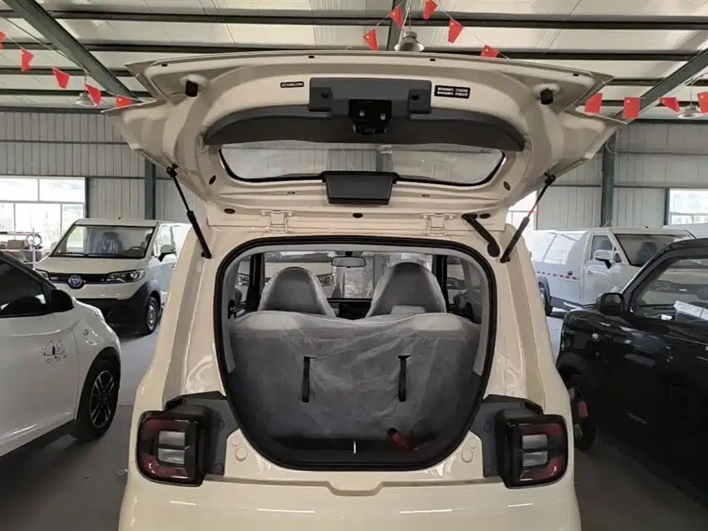 Panda 2025 Panda Mini 210km - Energetic Bear — миниатюра 19