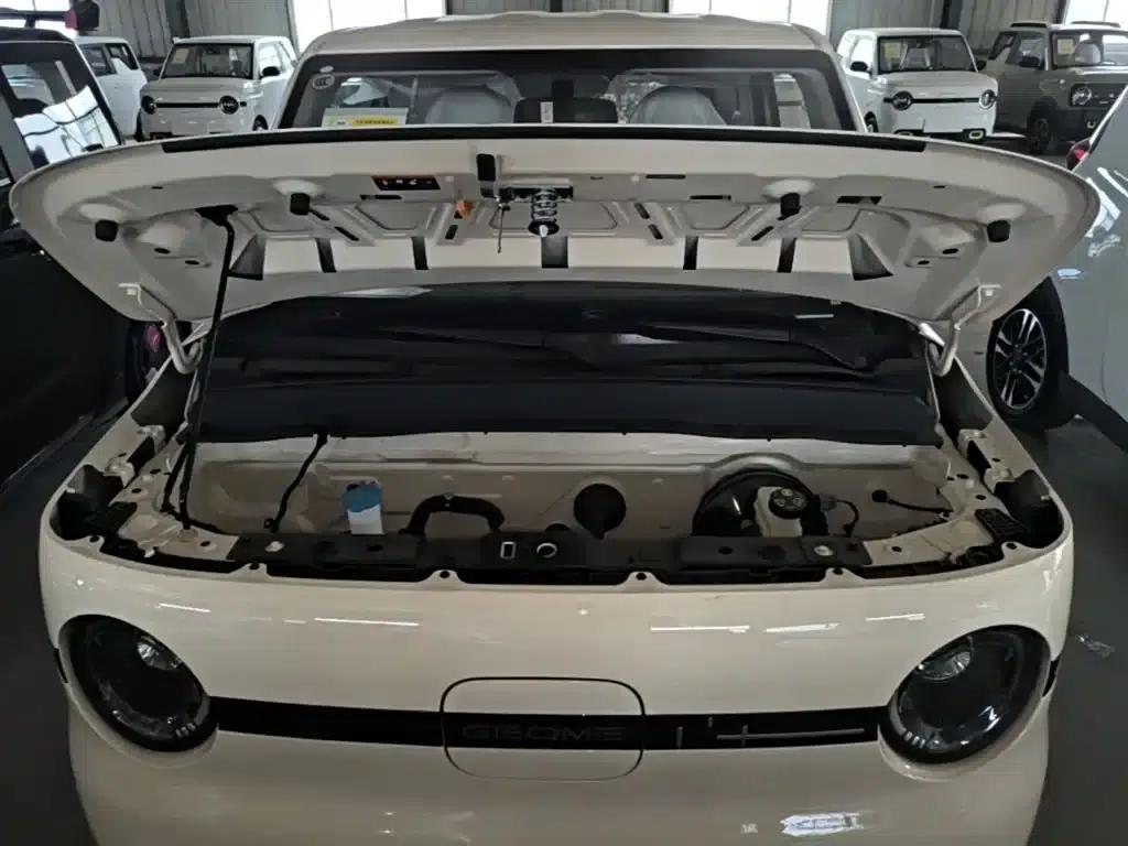 Panda 2025 Panda Mini 210km - Energetic Bear — миниатюра 20