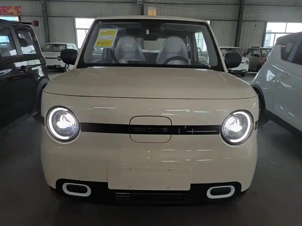 Panda 2025 Panda Mini 210km - Energetic Bear — миниатюра 3
