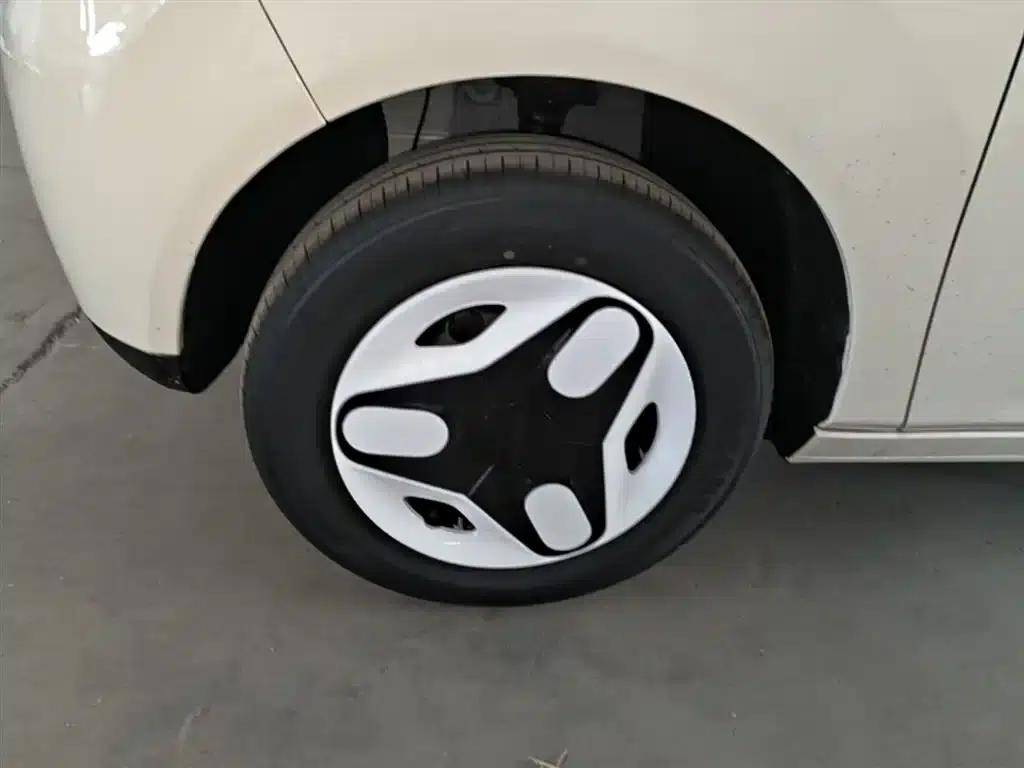 Panda 2025 Panda Mini 210km - Energetic Bear — миниатюра 23