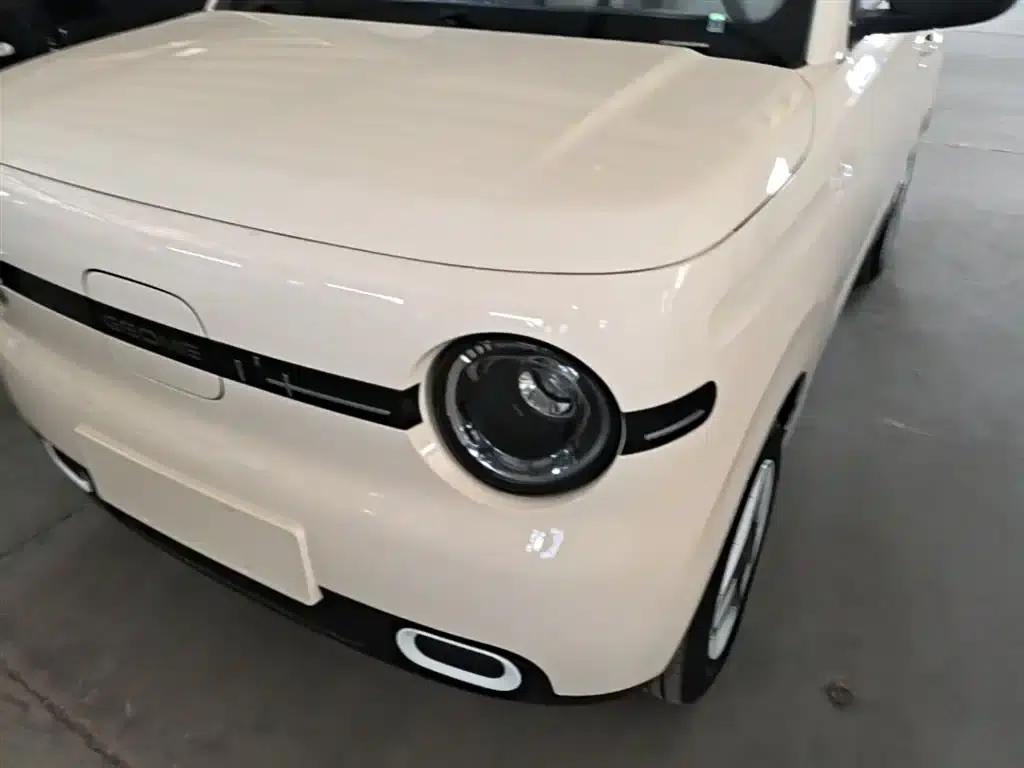 Panda 2025 Panda Mini 210km - Energetic Bear — миниатюра 24