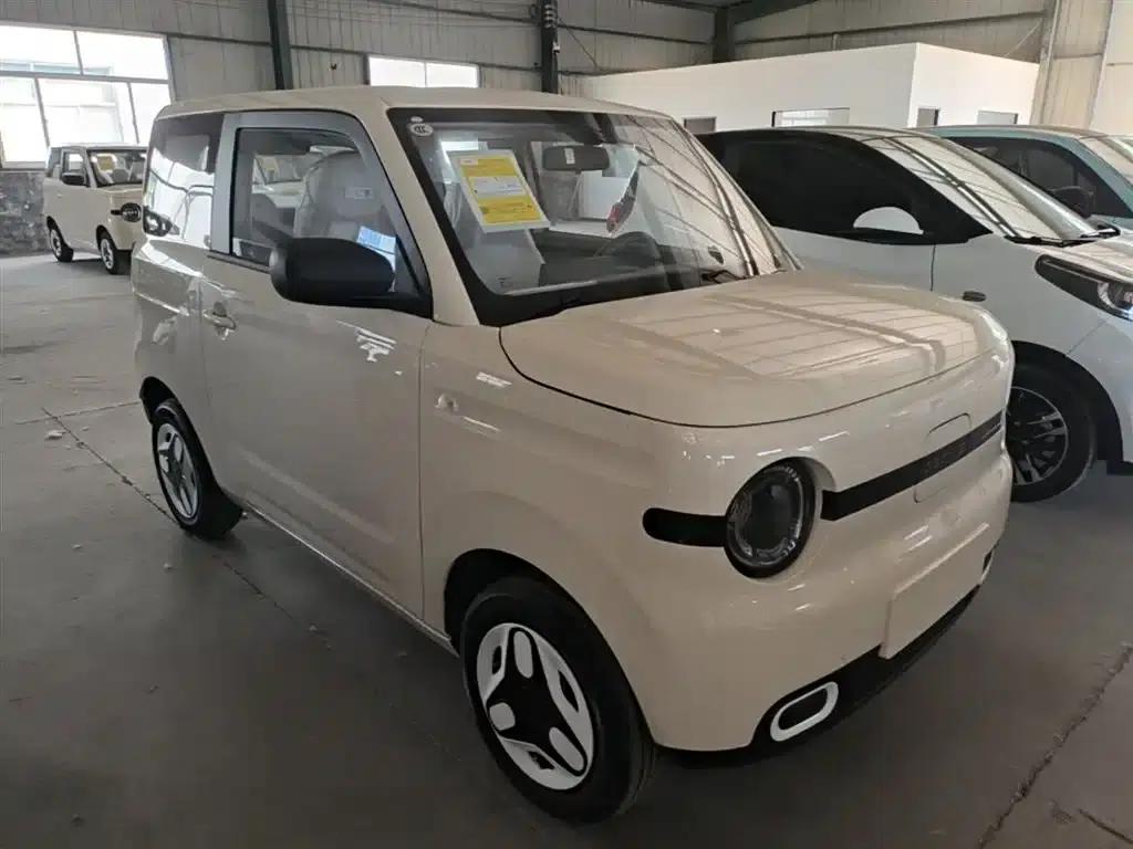 Panda 2025 Panda Mini 210km - Energetic Bear — миниатюра 4
