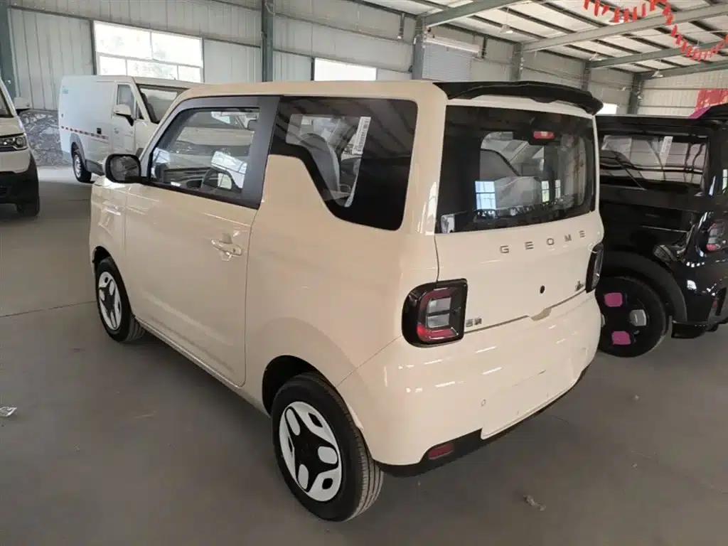 Panda 2025 Panda Mini 210km - Energetic Bear — миниатюра 5
