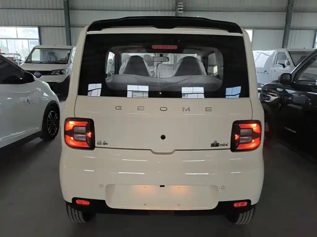 Panda 2025 Panda Mini 210km - Energetic Bear — миниатюра 6