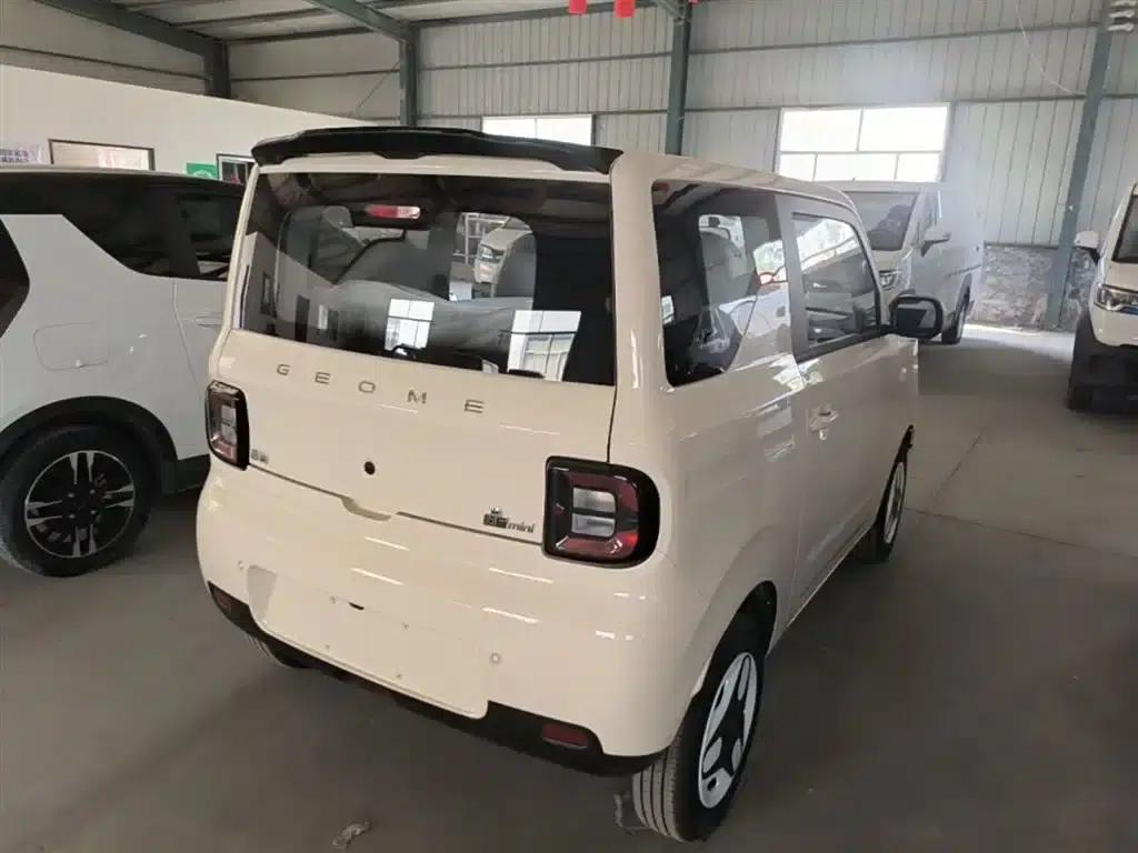 Panda 2025 Panda Mini 210km - Energetic Bear — миниатюра 7