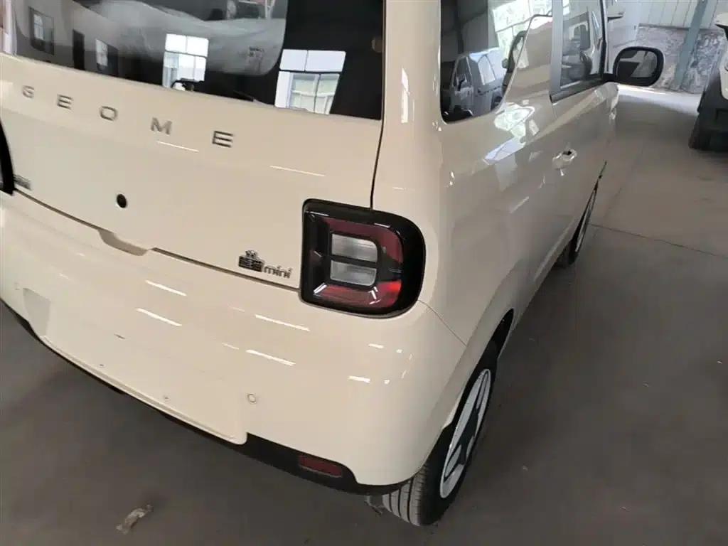 Panda 2025 Panda Mini 210km - Energetic Bear — миниатюра 8