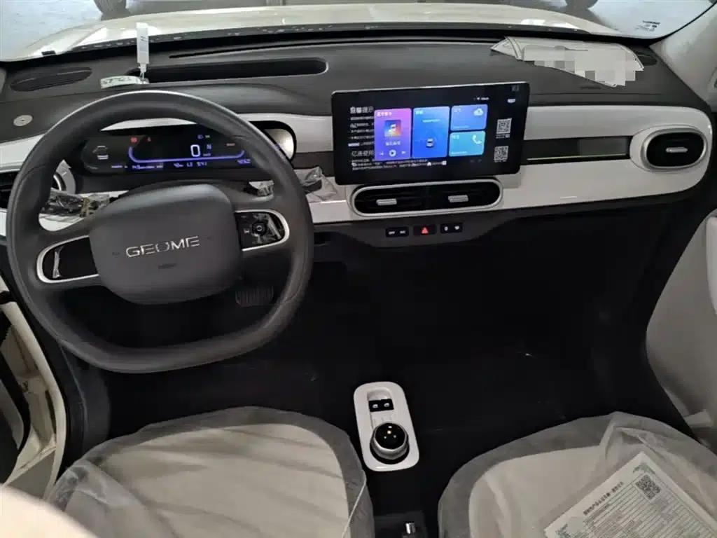 Panda 2025 Panda Mini 210km - Energetic Bear — миниатюра 10