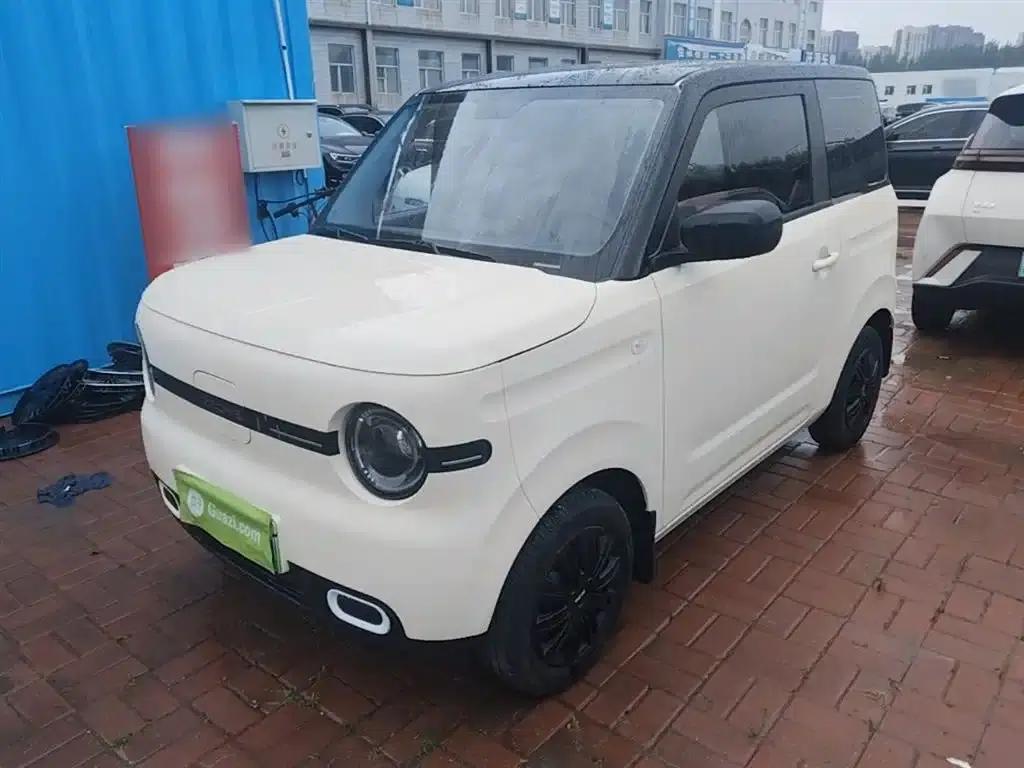 Panda 2025 Panda Mini 210km - Energetic Bear — миниатюра 1