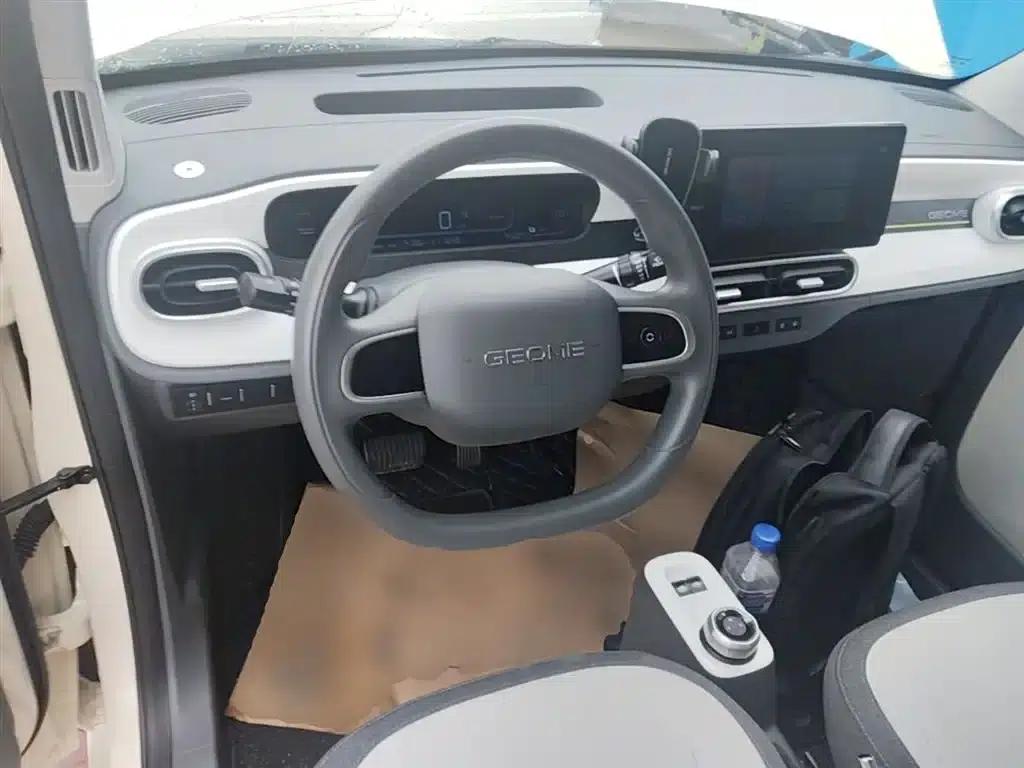 Panda 2025 Panda Mini 210km - Energetic Bear — миниатюра 11