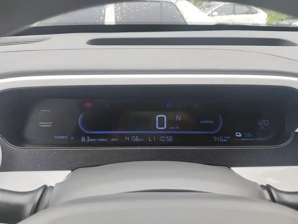 Panda 2025 Panda Mini 210km - Energetic Bear — миниатюра 12