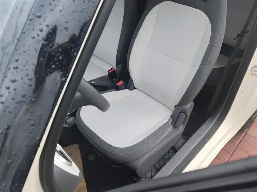 Panda 2025 Panda Mini 210km - Energetic Bear — миниатюра 15