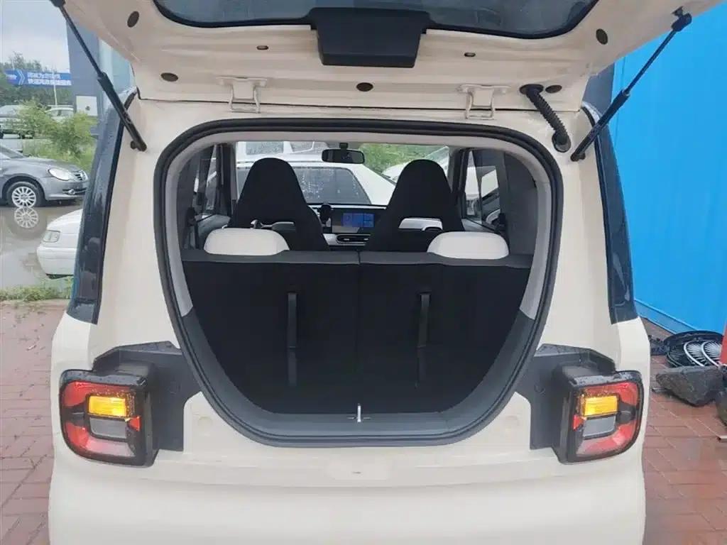 Panda 2025 Panda Mini 210km - Energetic Bear — миниатюра 19