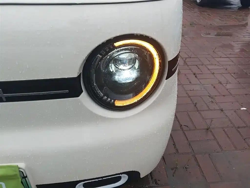 Panda 2025 Panda Mini 210km - Energetic Bear — миниатюра 24