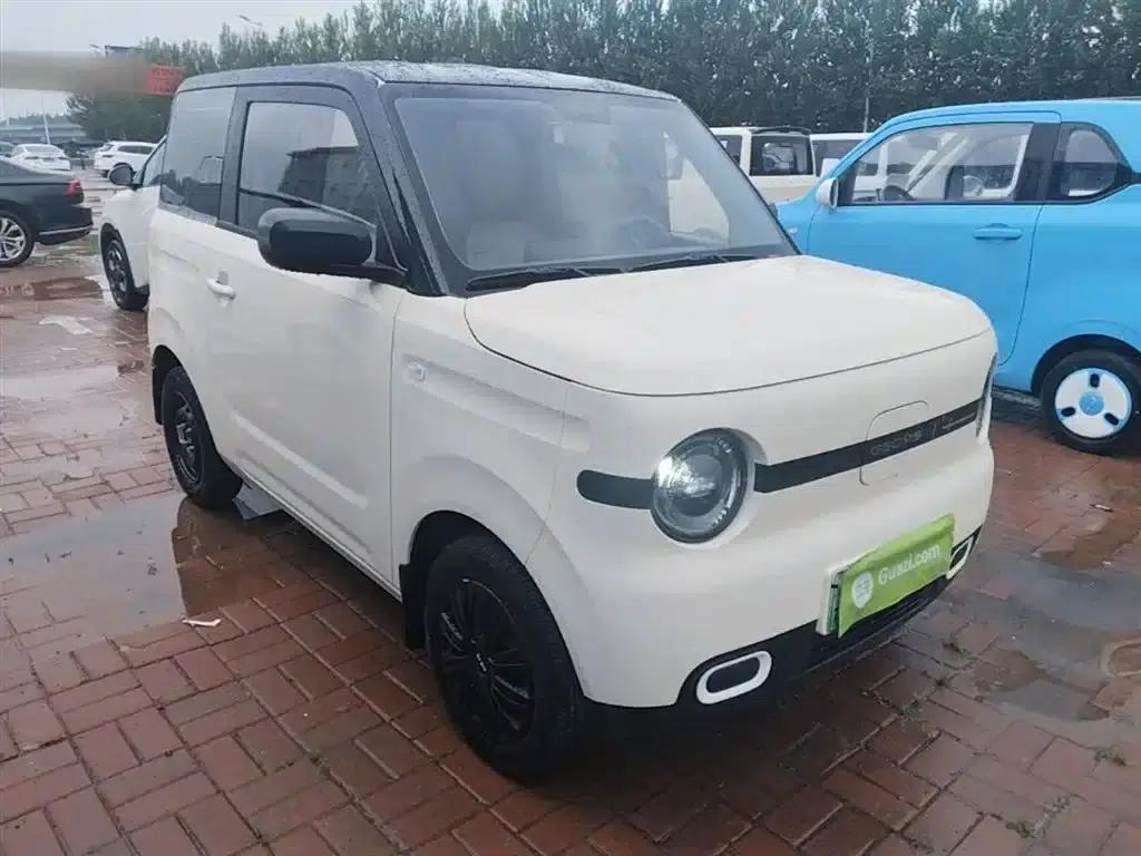 Panda 2025 Panda Mini 210km - Energetic Bear — миниатюра 4