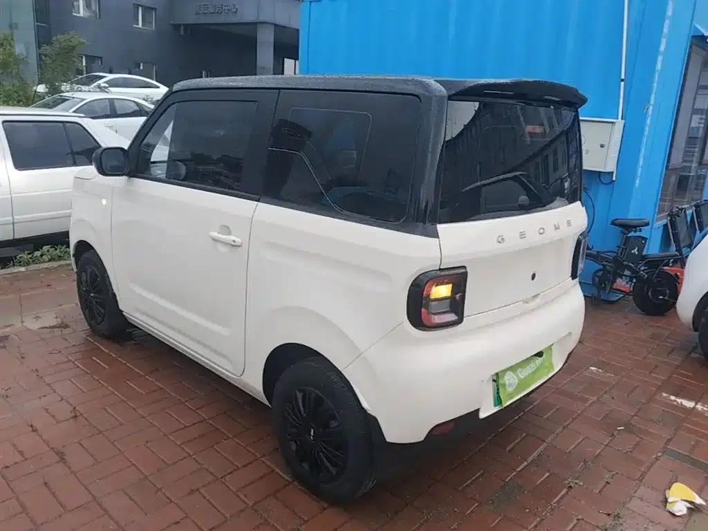 Panda 2025 Panda Mini 210km - Energetic Bear — миниатюра 5