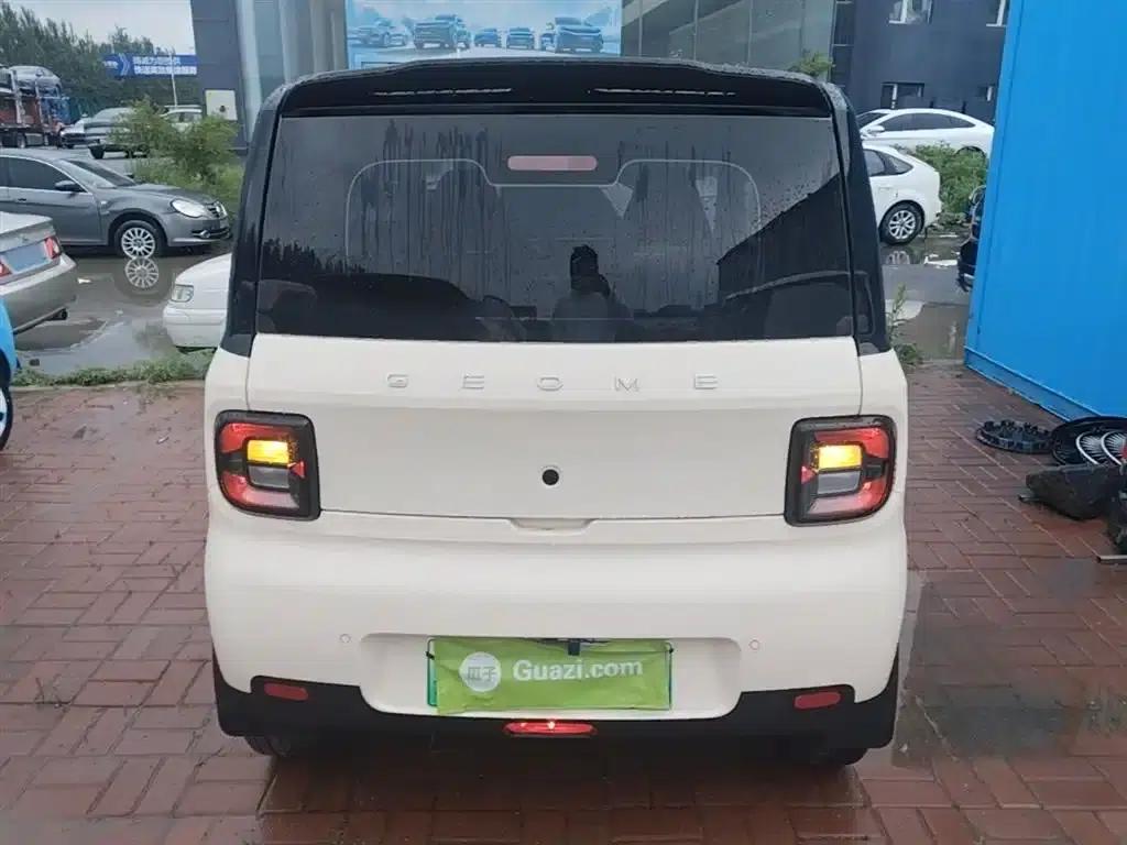 Panda 2025 Panda Mini 210km - Energetic Bear — миниатюра 6