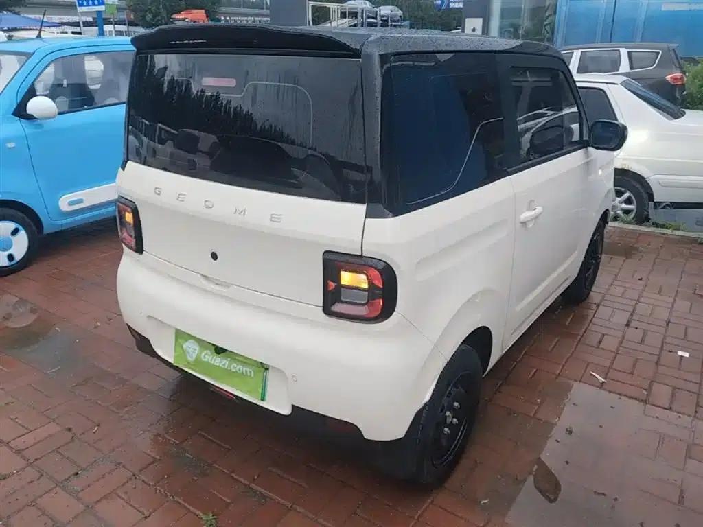 Panda 2025 Panda Mini 210km - Energetic Bear — миниатюра 7