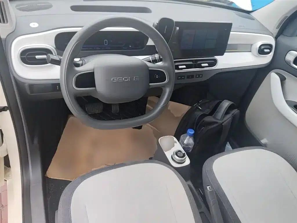 Panda 2025 Panda Mini 210km - Energetic Bear — миниатюра 10