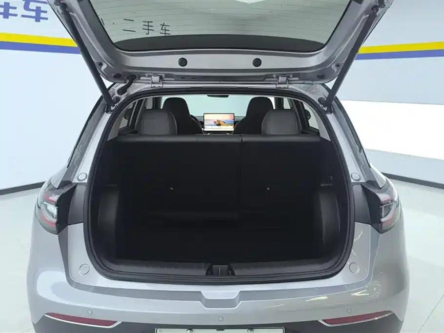 Star Wish 2025 310km Dream Edition — миниатюра 4