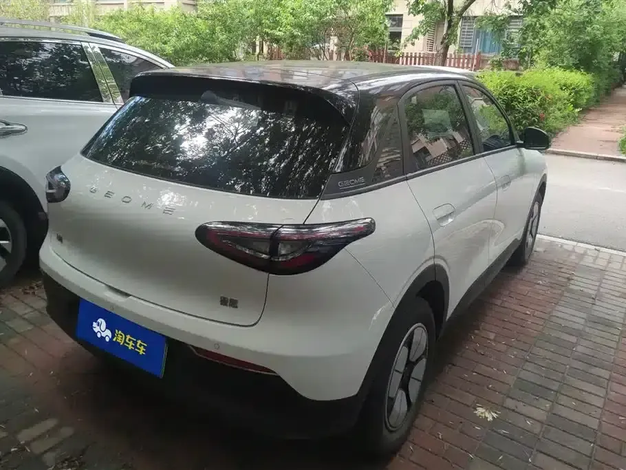 Star Wish 2025 310km Youth Edition — миниатюра 3