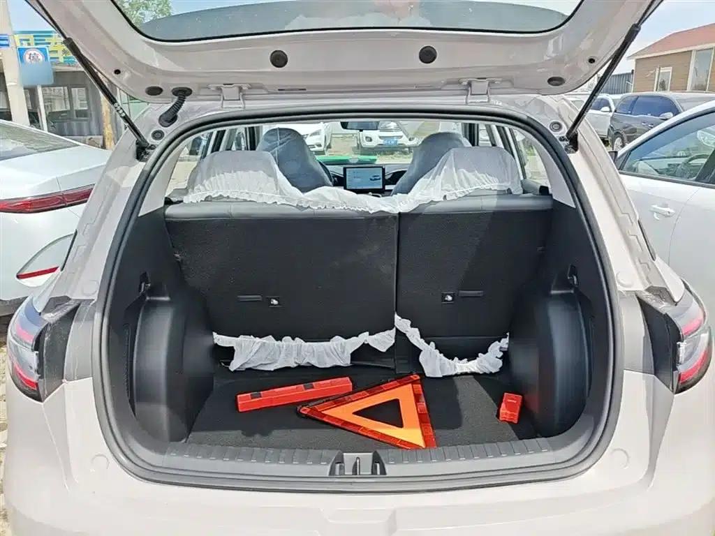 Star Wish 2026 Model 310km Youth Edition — миниатюра 19