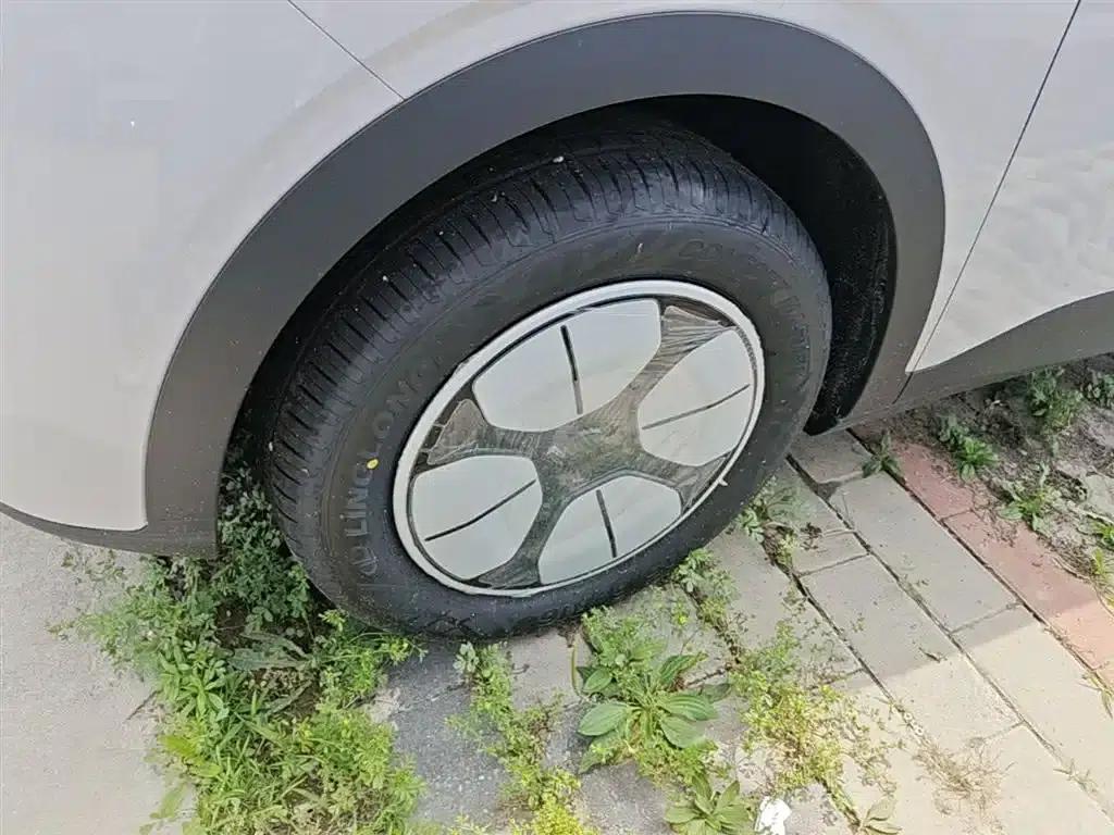 Star Wish 2026 Model 310km Youth Edition — миниатюра 23