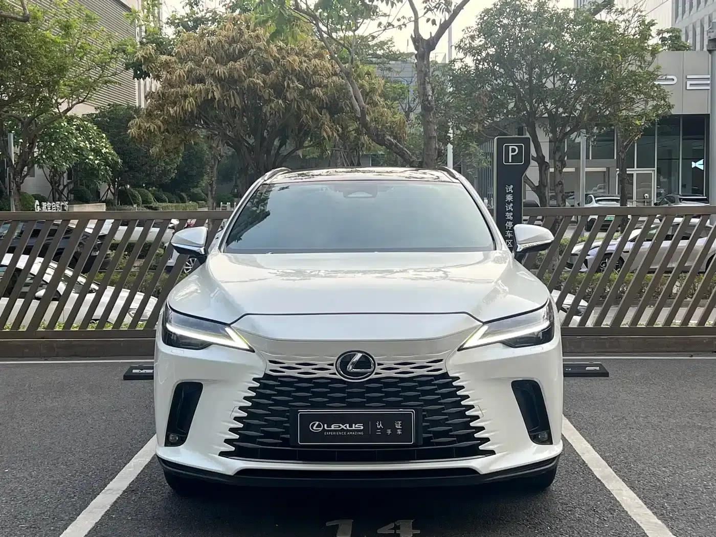 Lexus RX Hybrid 2023 450h+ AWD Enjoy Edition — миниатюра 2