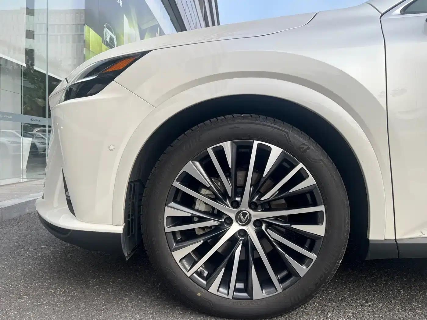 Lexus RX Hybrid 2023 450h+ AWD Enjoy Edition — миниатюра 14